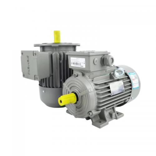 1LE0003-0DB22-1AA4 Motor