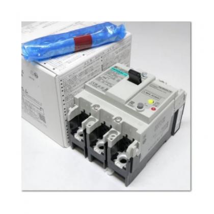 EW100AAG-2P075B Molded Circuit Breaker