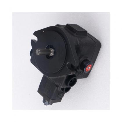 Original New Best Price ANSON VP55FD-A5-B3-50S Vane Pump